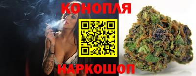 стаф Новозыбков