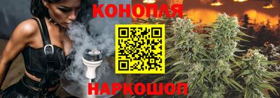 стаф Новозыбков
