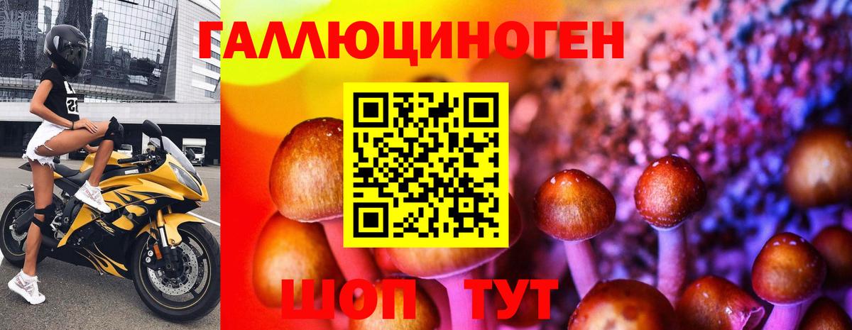 Галлюциногенные грибы Psilocybe Фролово