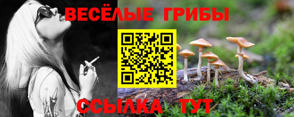 Галлюциногенные грибы мухоморы  Галлюциногенные грибы мицелий  Вход с VPN  как найти закладки  Фролово 